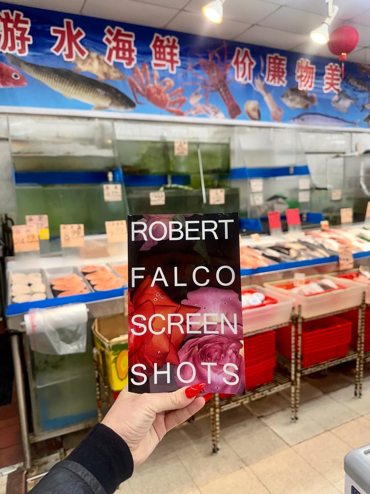 Image of ROBERT FALCO SCREEN SHOTS ******PRE-ORDER******
