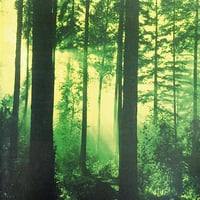 Thy Serpent - Forests of Witchery CD