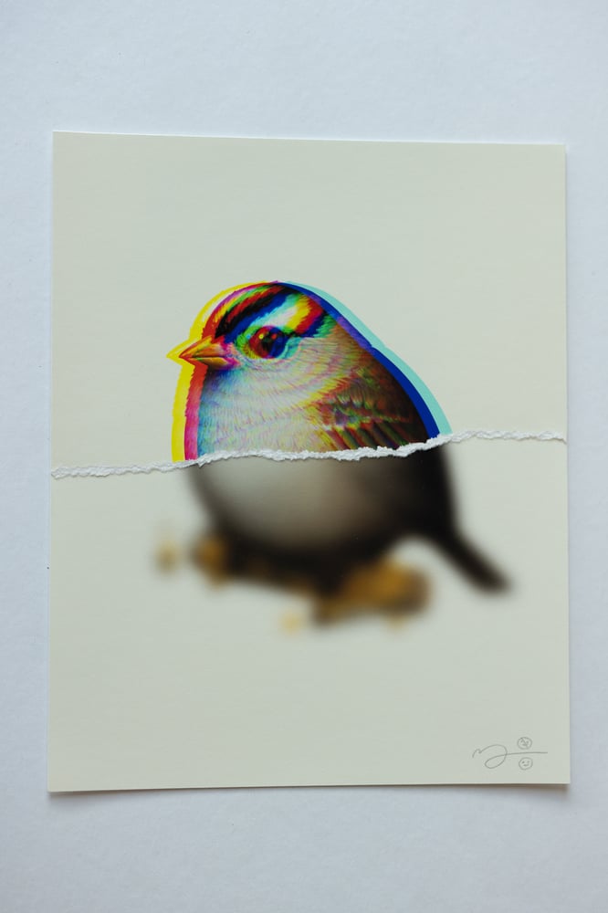 Image of Fat Bastard PE03