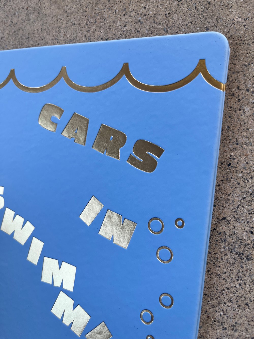 CARS IN SWIMMING POOLS Book