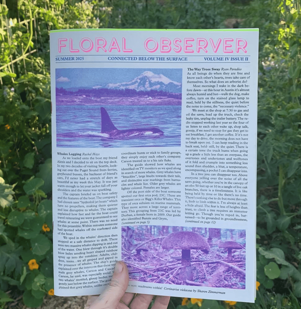 PRE ORDER SUMMER FLORAL OBSERVER 2025