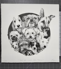 Image 2 of "Aquí hay lugar para todos."