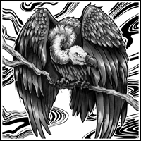 Image 1 of Vulture