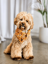 Image 2 of CROCHET SCARF - BUTTERSCOTCH