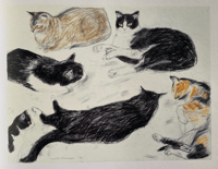 Image 3 of Elizabeth Blackadder by Duncan Macmillan