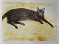 Image 9 of Elizabeth Blackadder by Duncan Macmillan