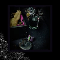 Image 2 of ☽ Penna Arcana ☾