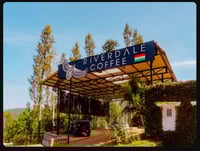 Image 3 of Indien - Riverdale Estate - Washed SLN9 - Espresso