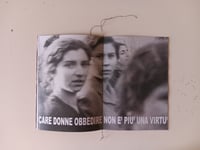 Image 4 of Rose 'e maggio