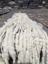 Image 2 of Natural white Romney 