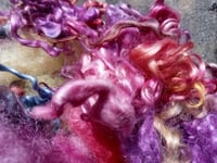 Image 3 of Spring Bloom