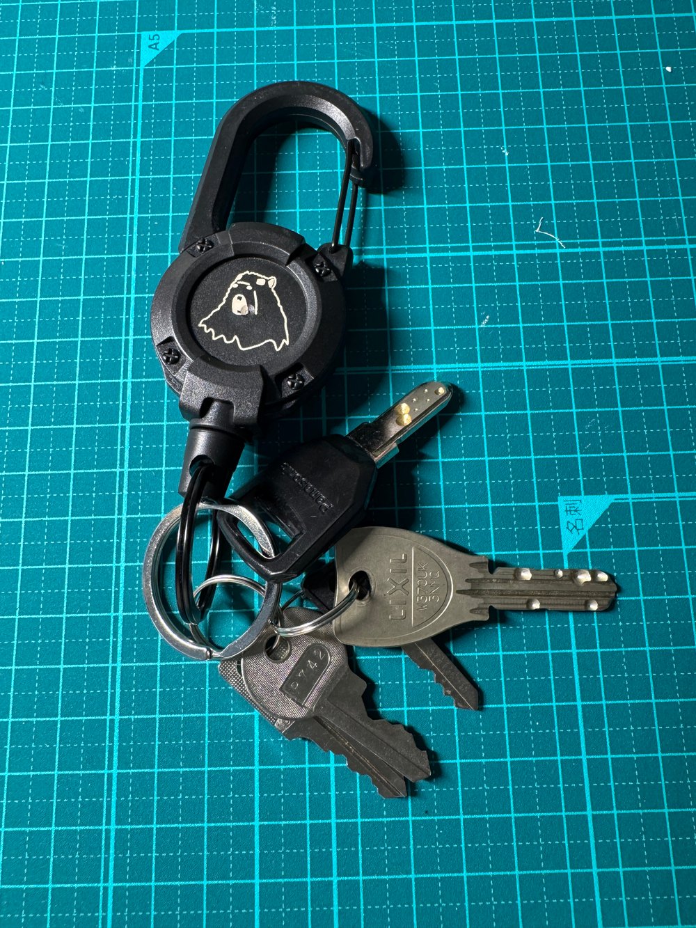Reel Keychain Carabiner
