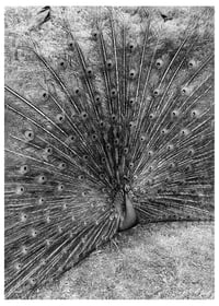 untitled-3