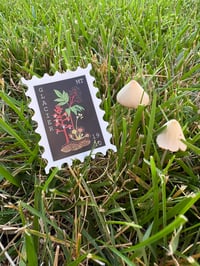 Image 2 of Glacier Sticker