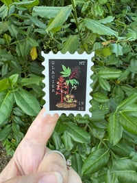 Image 1 of Glacier Sticker