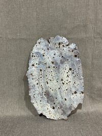 Image 3 of “Plato” from the series Ocean Blue