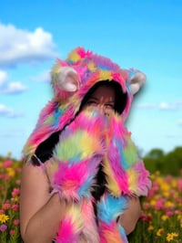 Image 5 of Kandiland Bolli Bear