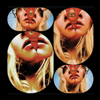 Limited 33 Mary Shelley & The Implicit Order - Spring Time Steeped In Mud CDR