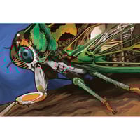 Annual Cicada Mini Print