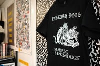 Image 4 of English Dogs