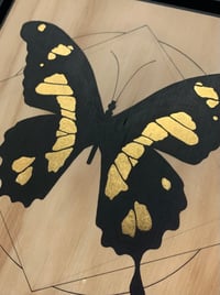 Image 4 of Swallow Tail Butterfly - Papilio Giaucus