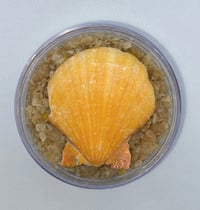 Image 1 of Golden Hour body scrub