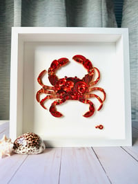 Image 4 of Mr. Crab