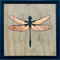 Image 1 of Dragon fly / stylised 