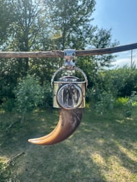Image 1 of Large bear claw 8