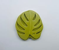 Paradise Palm body bar