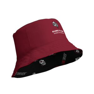 Image of Cure Driver Reversible bucket hat