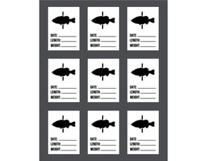 Image of Travel Ready Big Bass Board (DARK GRAY)