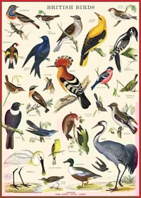 Image 1 of Cavallini & Co. British Birds Poster, Archival Paper, Matte Print