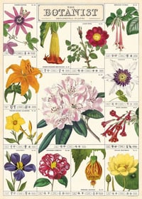 Image 1 of Cavallini & Co. The Botanist Poster, Archival Paper, Matte Print