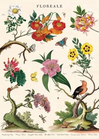 Image 1 of Cavallini & Co. Floreale Poster, Archival Paper, Matte Print