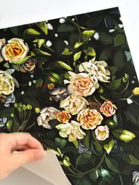 Image 3 of BUFF BEAUTY - GICLÉE PRINT