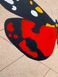 Image 4 of Scarlet Tiger moth - Callimorpha