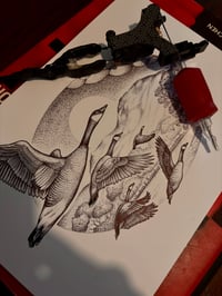 Canada geese by the Ben print