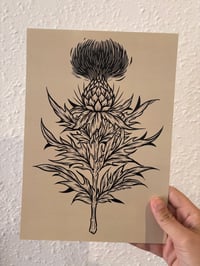 Thistle print