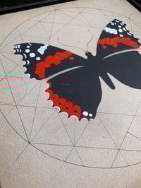 Image 3 of Red Admiral - Vanessa Atalanta 