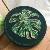 Image 1 of Monstera Leaf Botanical Embroidery Kit 