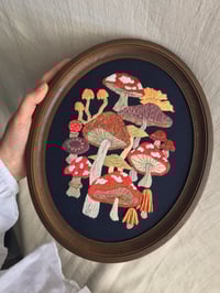 Image 1 of Mushrooms & Toadstools Framed Embroidery