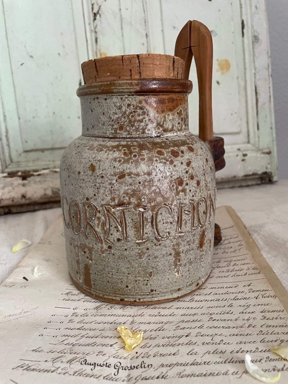 Image of Cornichichon Pot