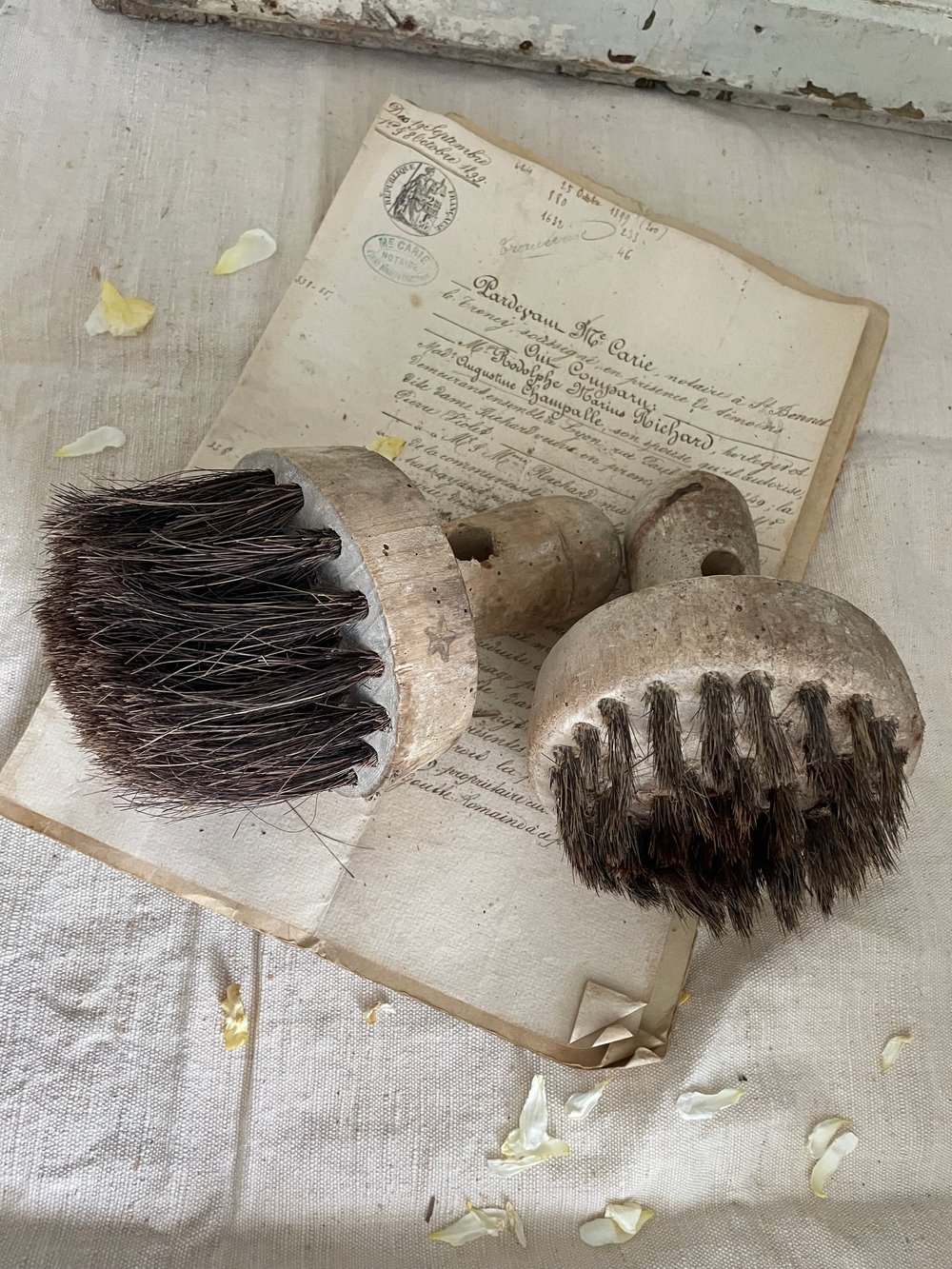 Image of Brushes 