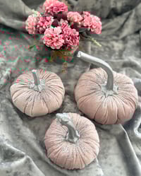 Image 1 of Pumpkin from velvet “Silver hoof”