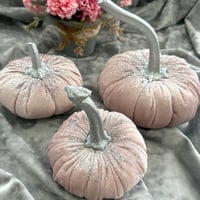 Image 2 of Pumpkin from velvet “Silver hoof”