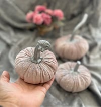 Image 3 of Pumpkin from velvet “Silver hoof”