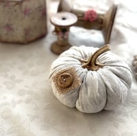 Image 1 of Pumpkin "Garlic"