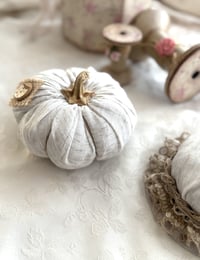 Image 2 of Pumpkin "Garlic"