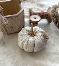 Image 3 of Pumpkin "Garlic"